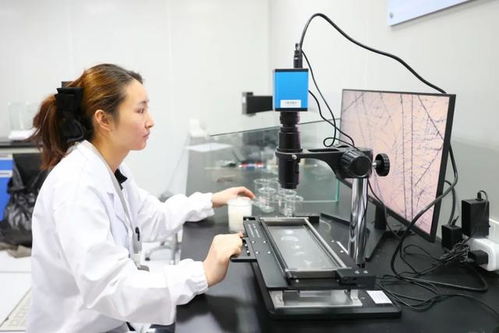 最美生產線 走進中紡聯檢上海，探索檢驗技術服務的卓越之旅